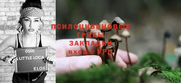 крисы Алзамай