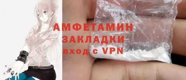 твердый Алексеевка