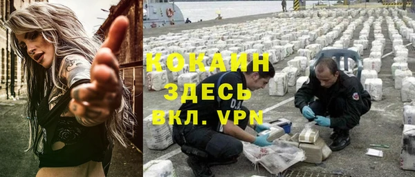 твердый Алексеевка