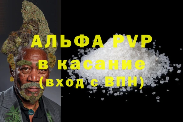 крисы Алзамай